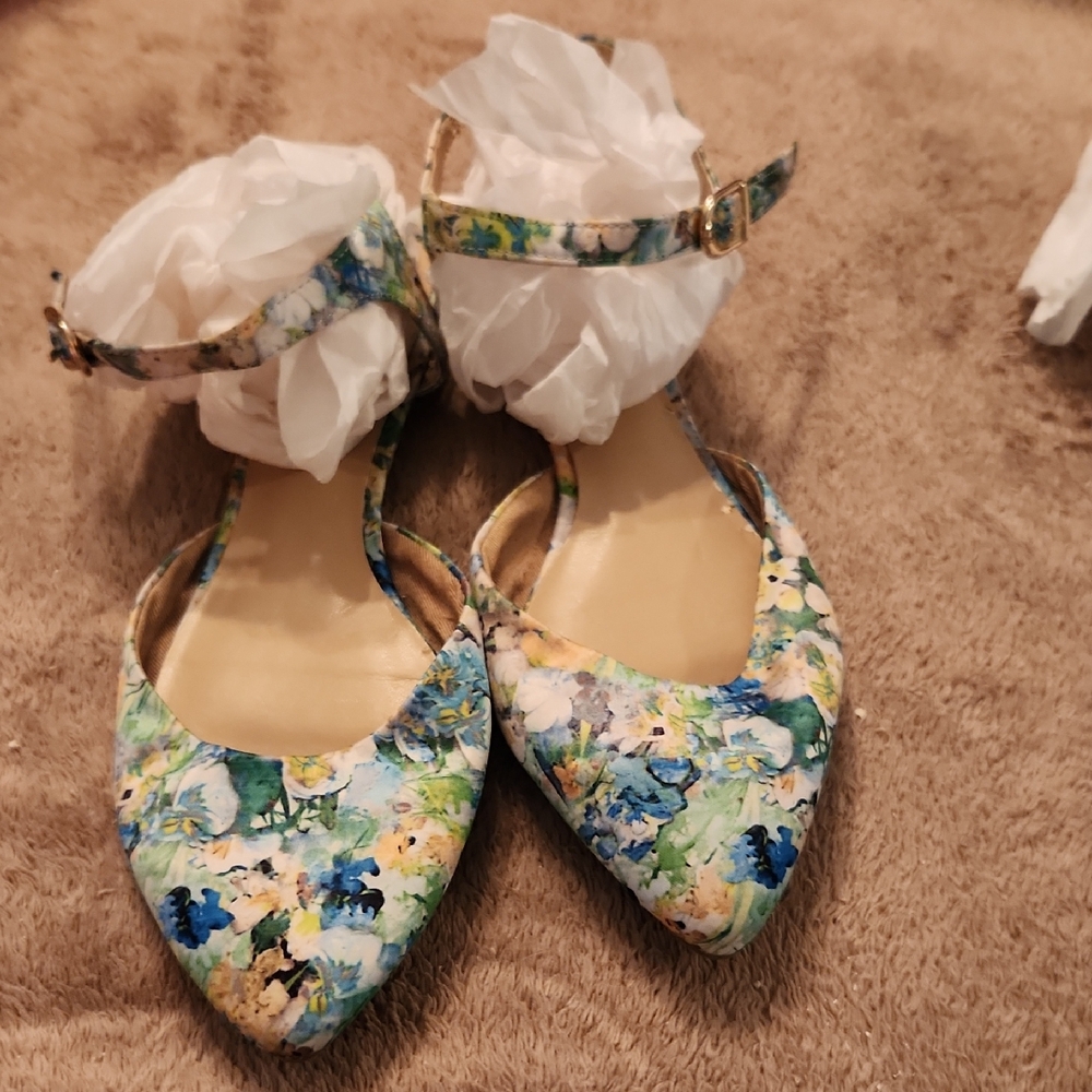 Lands' End Blue and Green Heels
